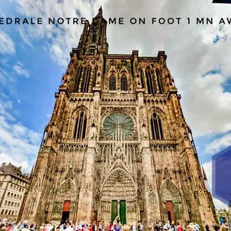 Apartment Life Cathedrale City-center Place Gutenberg